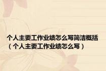 个人主要工作业绩怎么写简洁概括（个人主要工作业绩怎么写）