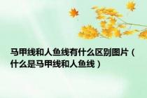 马甲线和人鱼线有什么区别图片（什么是马甲线和人鱼线）
