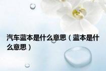 汽车蓝本是什么意思（蓝本是什么意思）