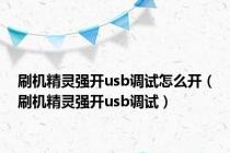 刷机精灵强开usb调试怎么开（刷机精灵强开usb调试）