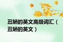 丑陋的英文高级词汇（丑陋的英文）
