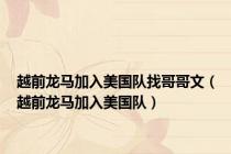 越前龙马加入美国队找哥哥文（越前龙马加入美国队）