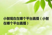 小智现在在哪个平台直播（小智在哪个平台直播）