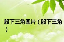 股下三角图片（股下三角）