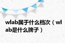 wlab属于什么档次（wlab是什么牌子）
