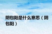 阴包阳是什么意思（阴包阳）