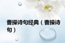 曹操诗句经典（曹操诗句）