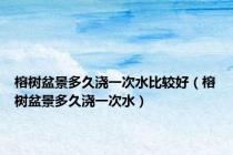 榕树盆景多久浇一次水比较好（榕树盆景多久浇一次水）