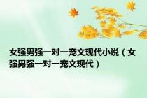 女强男强一对一宠文现代小说（女强男强一对一宠文现代）