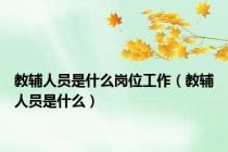 教辅人员是什么岗位工作（教辅人员是什么）