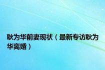 耿为华前妻现状（最新专访耿为华离婚）