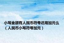 小写金额有人民币符号还用加元么（人民币小写符号加元）
