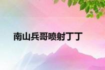 南山兵哥喷射丁丁