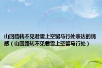 山回路转不见君雪上空留马行处表达的情感（山回路转不见君雪上空留马行处）