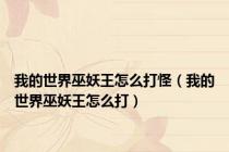 我的世界巫妖王怎么打怪（我的世界巫妖王怎么打）