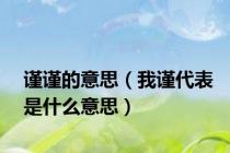 谨谨的意思（我谨代表是什么意思）