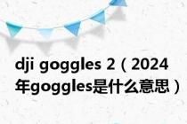 dji goggles 2（2024年goggles是什么意思）