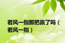 若风一指那把赢了吗（若风一指）