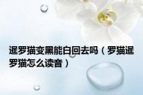 暹罗猫变黑能白回去吗（罗猫暹罗猫怎么读音）