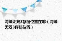 海贼无双3存档位置在哪（海贼无双3存档位置）