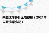 宋凝沈岸是什么电视剧（2024年宋凝沈岸小说）