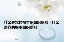 什么是党的根本原组织原则（什么是党的根本组织原则）