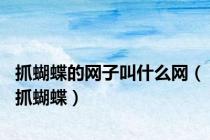 抓蝴蝶的网子叫什么网（抓蝴蝶）