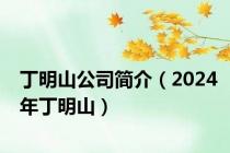 丁明山公司简介（2024年丁明山）