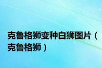 克鲁格狮变种白狮图片（克鲁格狮）