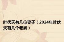 叶伏天有几位妻子（2024年叶伏天有几个老婆）