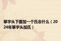 草字头下面加一个氏念什么（2024年草字头加氏）