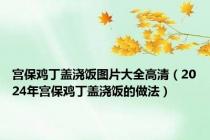 宫保鸡丁盖浇饭图片大全高清（2024年宫保鸡丁盖浇饭的做法）