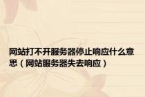 网站打不开服务器停止响应什么意思（网站服务器失去响应）
