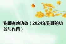 狗鞭有啥功效（2024年狗鞭的功效与作用）