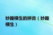 妙趣横生的拼音（妙趣横生）