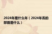 2024年是什么年（2024年丢的部首是什么）