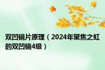 双凹镜片原理（2024年聚焦之虹的双凹镜4级）