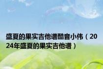 盛夏的果实吉他谱酷音小伟（2024年盛夏的果实吉他谱）