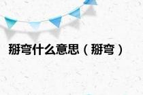 掰弯什么意思（掰弯）
