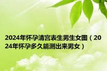 2024年怀孕清宫表生男生女图（2024年怀孕多久能测出来男女）