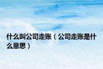 什么叫公司走账（公司走账是什么意思）