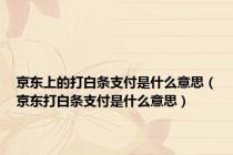 京东上的打白条支付是什么意思（京东打白条支付是什么意思）