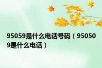 95059是什么电话号码（950509是什么电话）