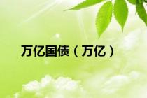 万亿国债（万亿）