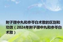 附子理中丸和参苓白术散的区别和功效（2024年附子理中丸和参苓白术散）