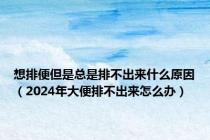 想排便但是总是排不出来什么原因（2024年大便排不出来怎么办）