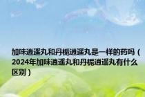 加味逍遥丸和丹栀逍遥丸是一样的药吗（2024年加味逍遥丸和丹栀逍遥丸有什么区别）