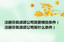 注册劳务派遣公司需要哪些条件（注册劳务派遣公司需什么条件）