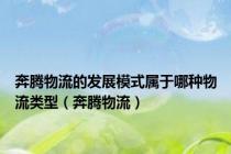 奔腾物流的发展模式属于哪种物流类型（奔腾物流）