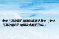 老炮儿冯小刚许晴激情戏表达什么（老炮儿冯小刚和许晴理发店是真的吗）